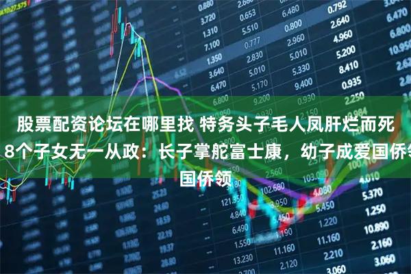 股票配资论坛在哪里找 特务头子毛人凤肝烂而死，8个子女无一从政：长子掌舵富士康，幼子成爱国侨领